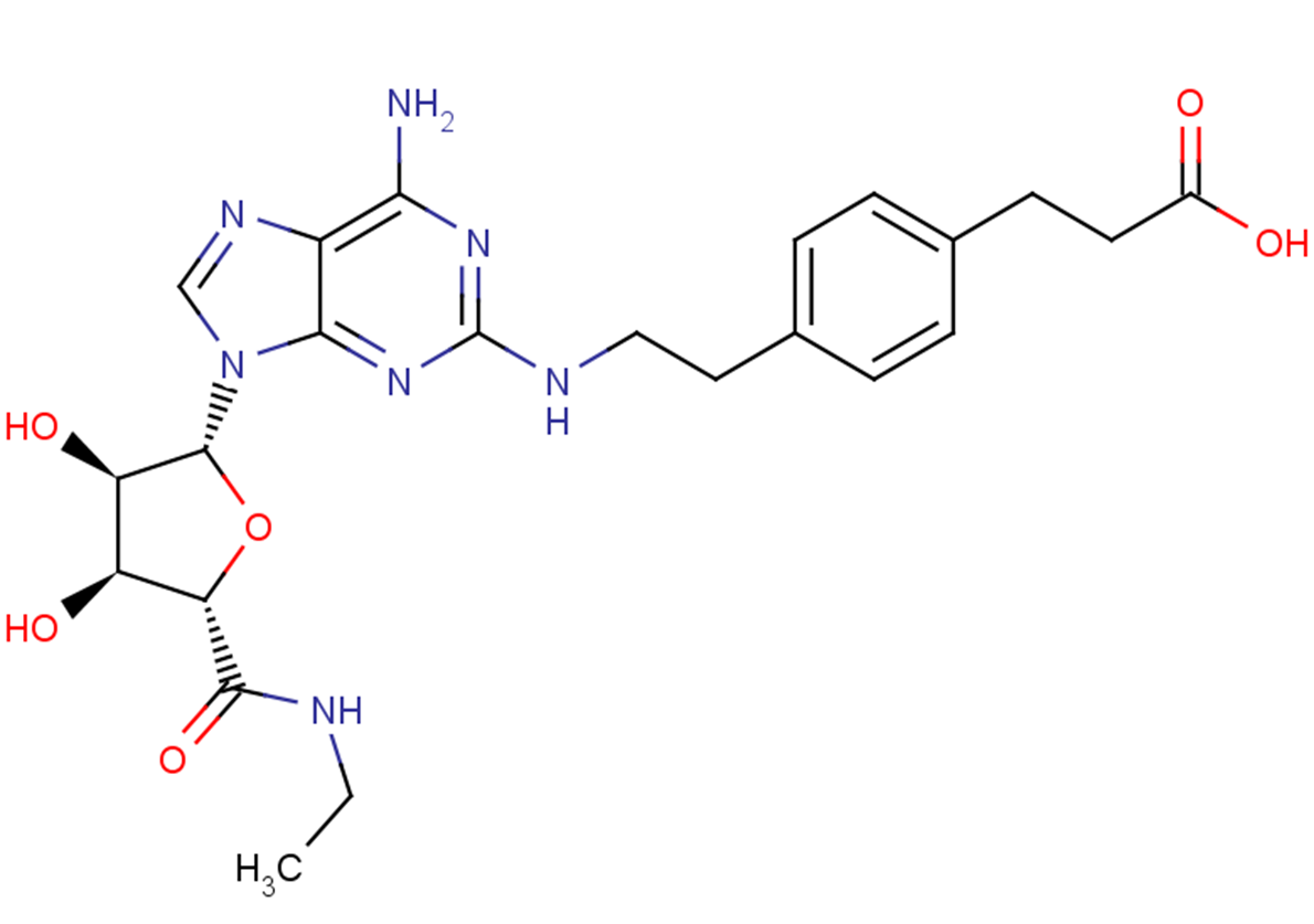 CGS 21680 | TargetMol