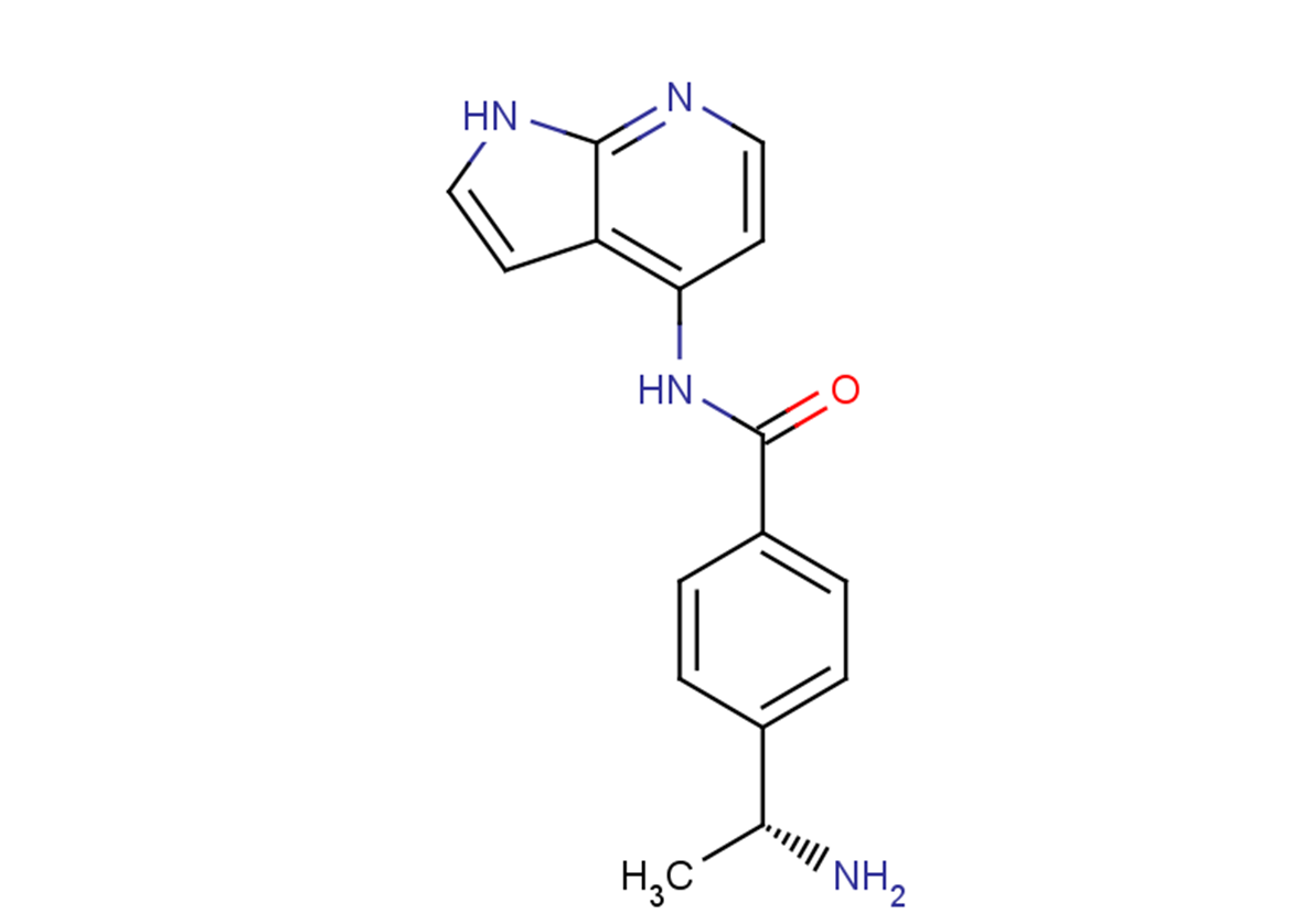 Y-33075 Chemical Structure