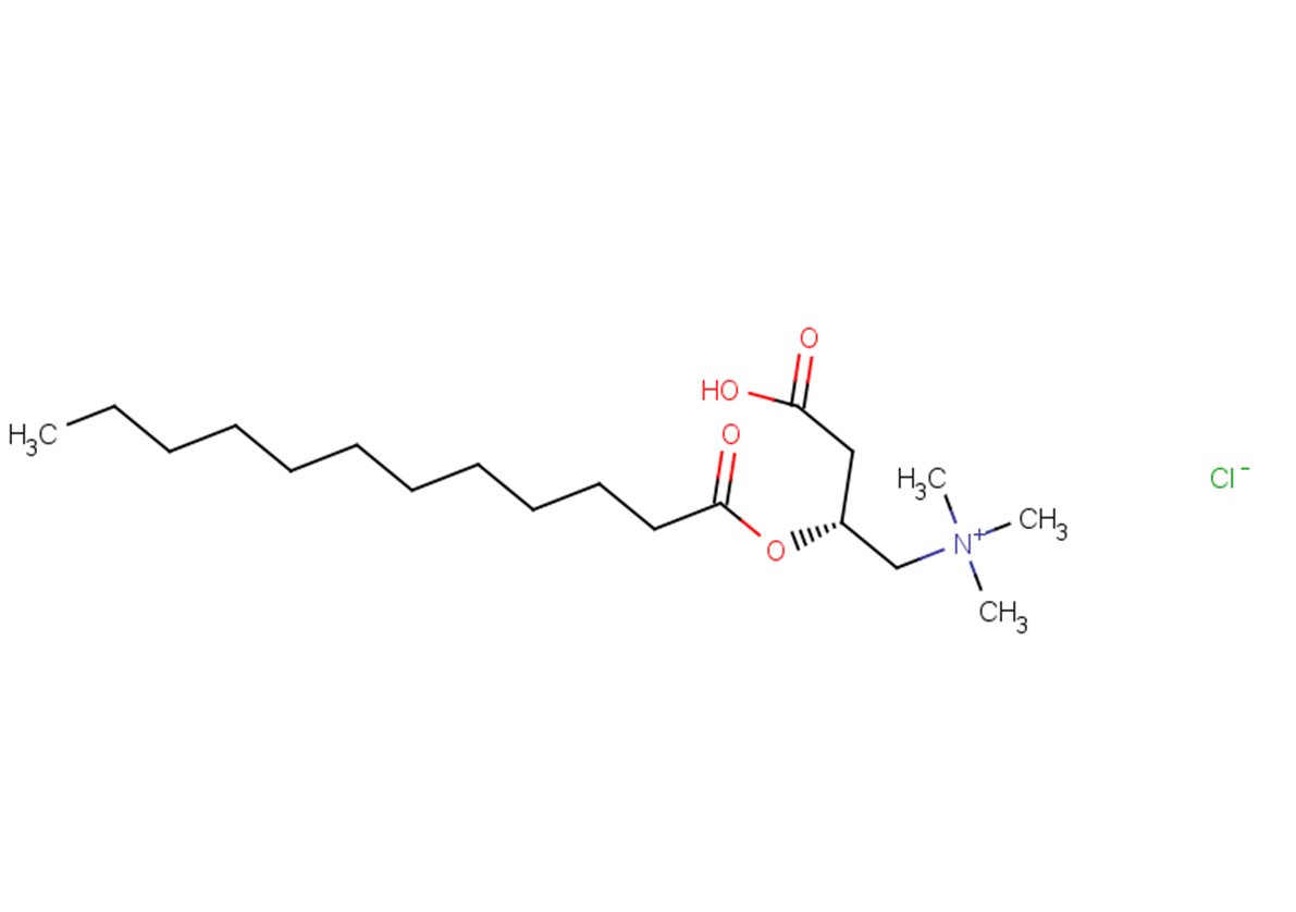 LauroylLcarnitine (chloride) TargetMol