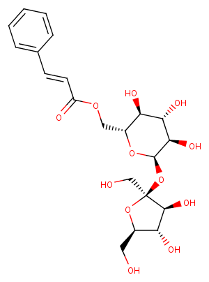 Sibirioside A Chemical Structure