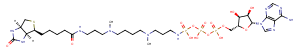 ATP-polyamine-biotin