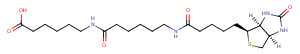 Biotin-C5-amino-C5-amino