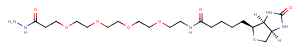 Biotin-PEG4-hydrazide