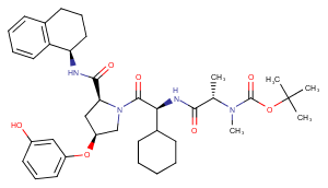 E3 ligase Ligand 14