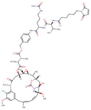 Mal-VC-PAB-DM1