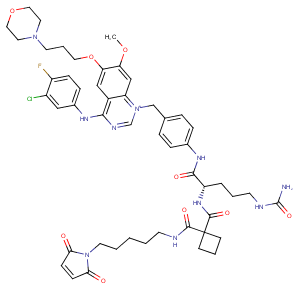 MC-Sq-Cit-PAB-Gefitinib