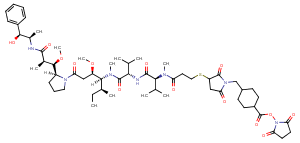 MMAE-SMCC