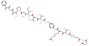 SC-VC-PAB-MMAE