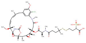 Sulfo-PDBA-DM4