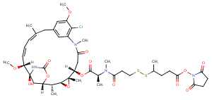 SPP-DM1