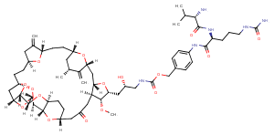 VCP-Eribulin