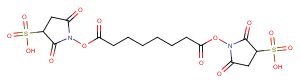 BS3 Crosslinker