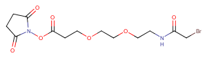 Bromoacetamido-PEG2-C2-NHS ester