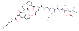 Sperm-activating peptide 1