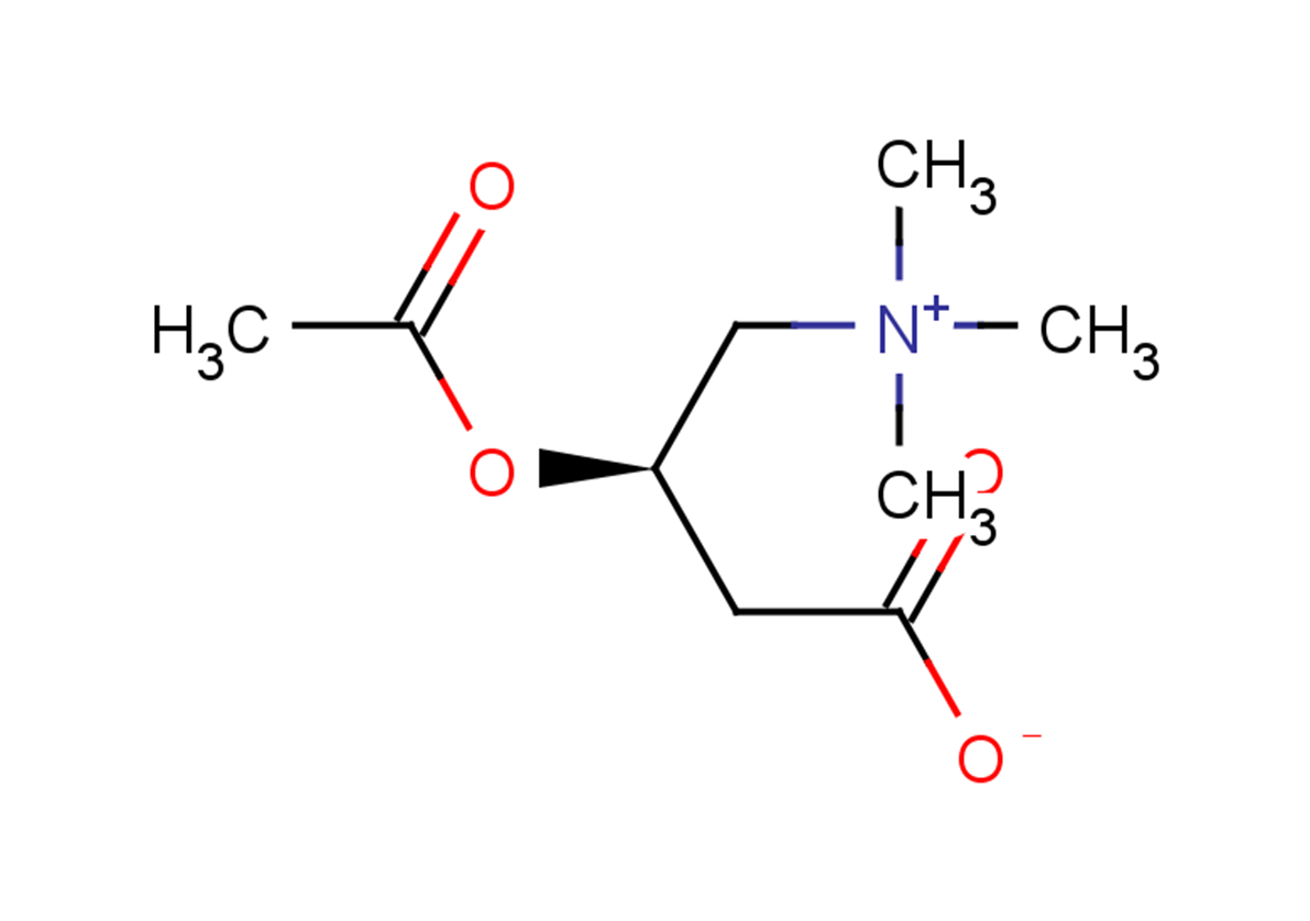 AcetylLcarnitine Endogenous Metabolite TargetMol