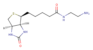 Biotin-EDA