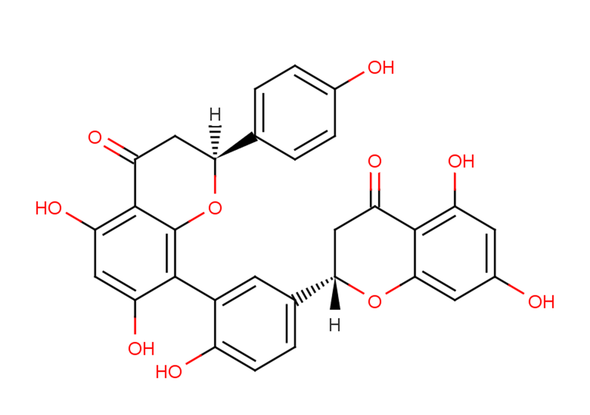 Tetrahydroamentoflavone Chemical Structure