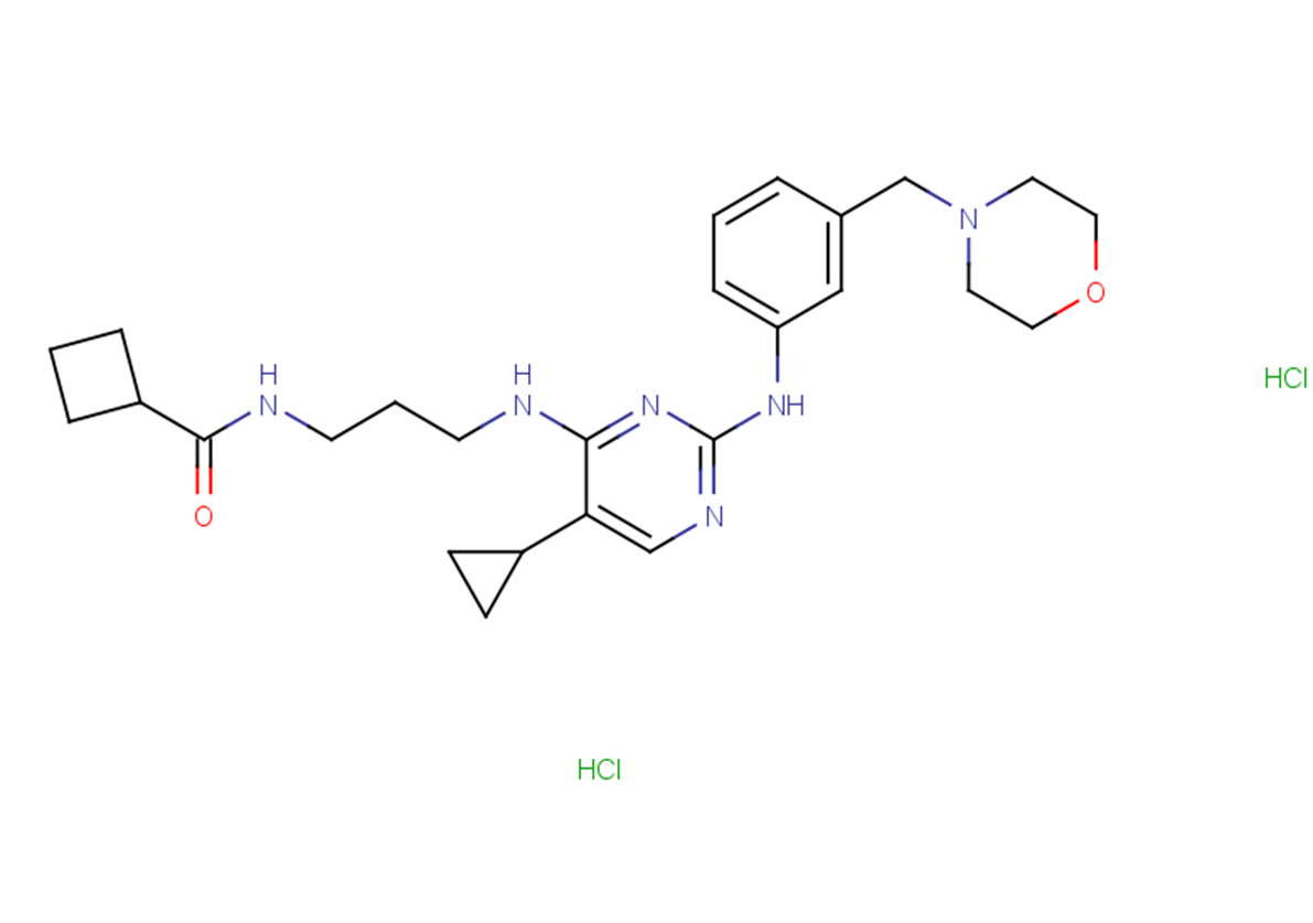 MRT 67307 dihydrochloride Chemical Structure