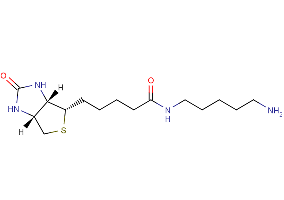 115416-38-1 5-(Biotinamido)pentylamine Chemical Structure