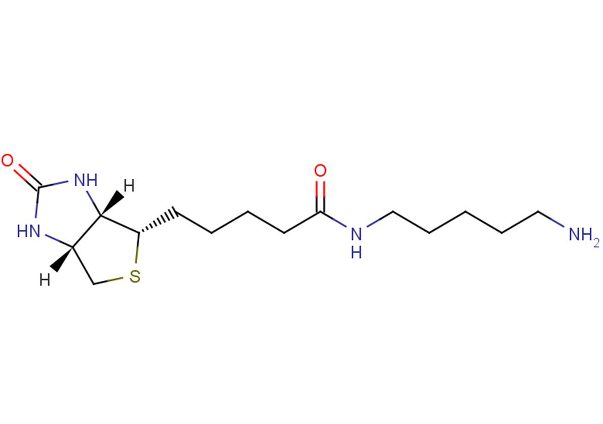 5-(Biotinamido)pentylamine Chemical Structure