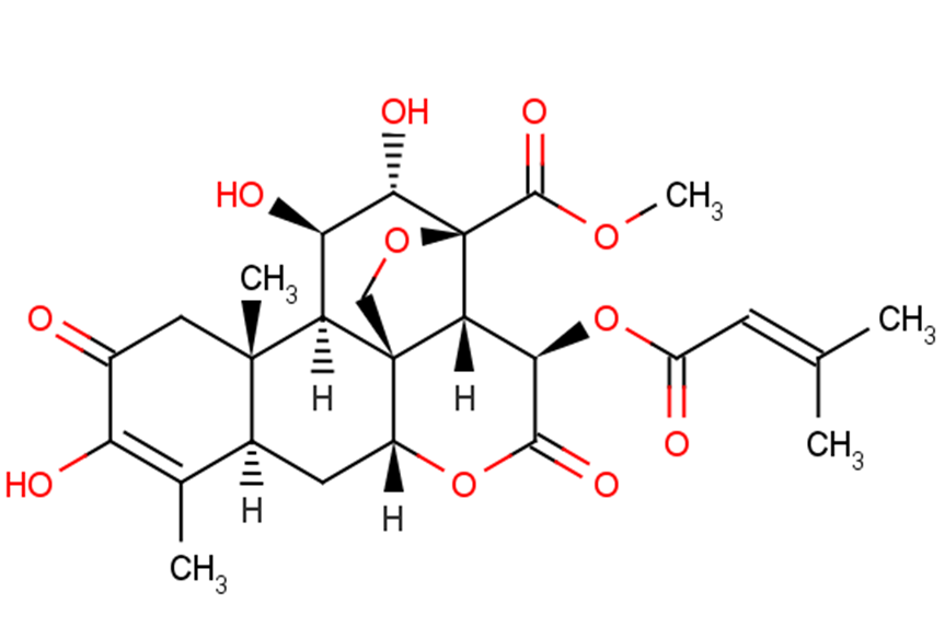 Brusatol | Ferroptosis | Nrf2 | Inhibitor | TargetMol