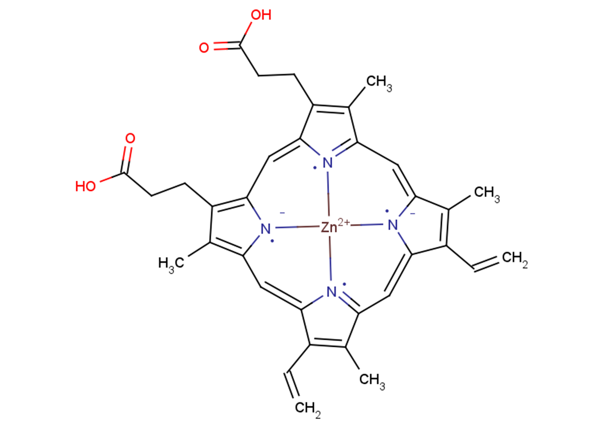 Zinc Protoporphyrin Apoptosis Endogenous Metabolite Reactive