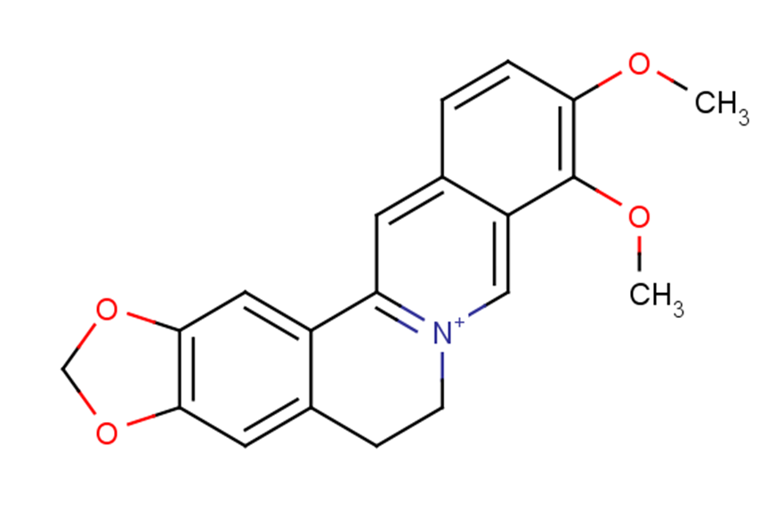Berberine Reactive Oxygen Species Topoisomerase Endogenous Metabolite Antibacterial