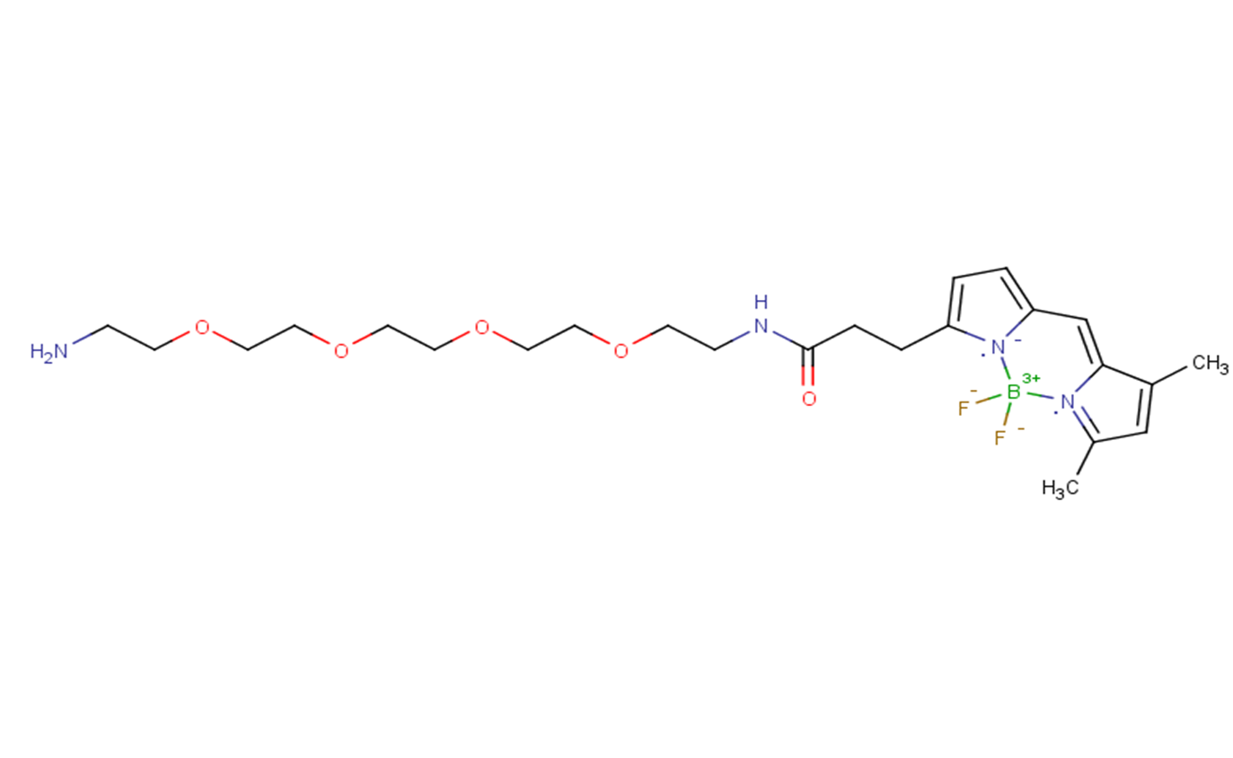 BDP FL-PEG4-amine