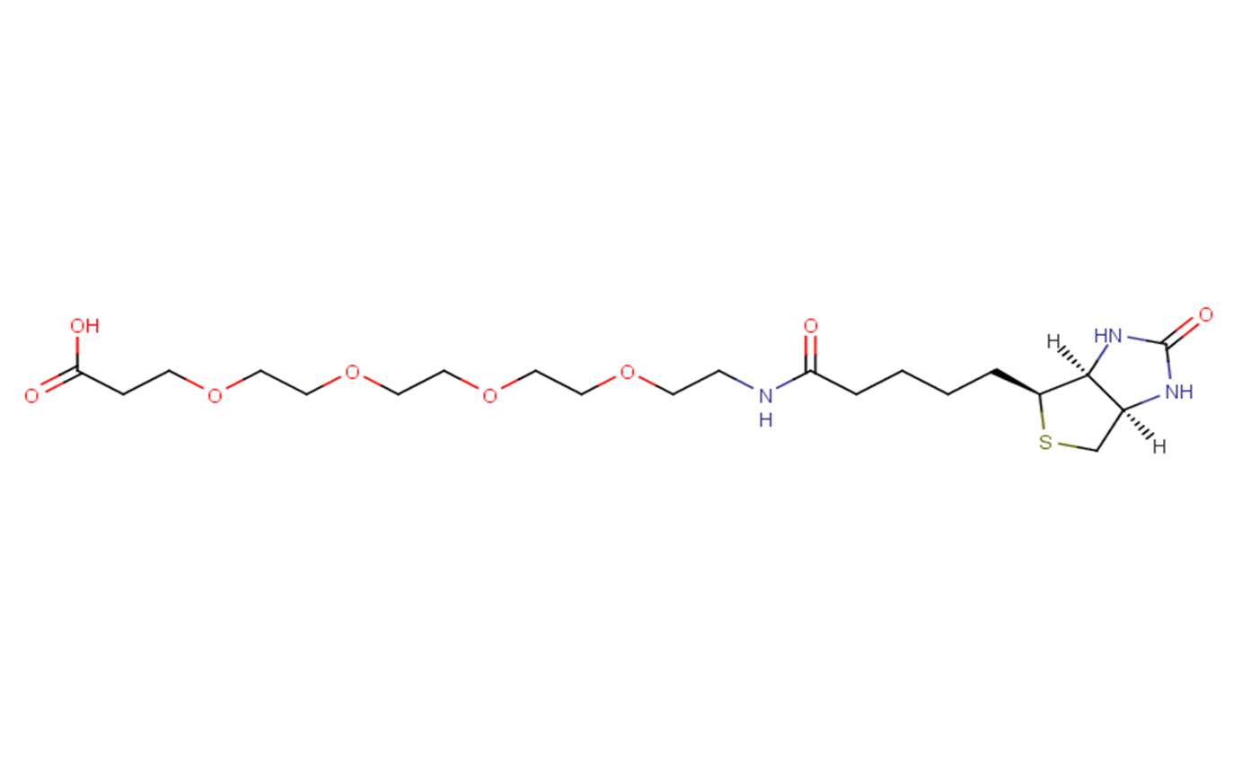 Biotin-PEG4-acid