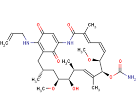 Tanespimycin Antibacterial Antibiotic Apoptosis Autophagy HSP