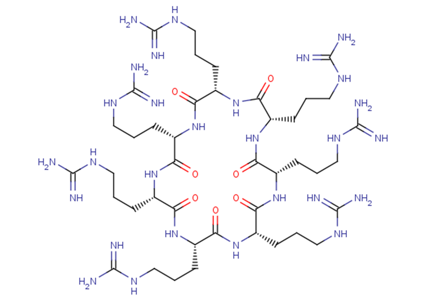 NP213
