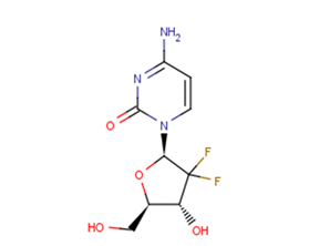 Gemcitabine | Apoptosis | Autophagy | DNA/RNA Synthesis | Nucleoside ...