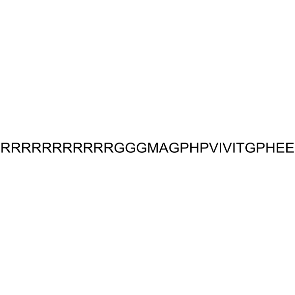 11R-VIVIT