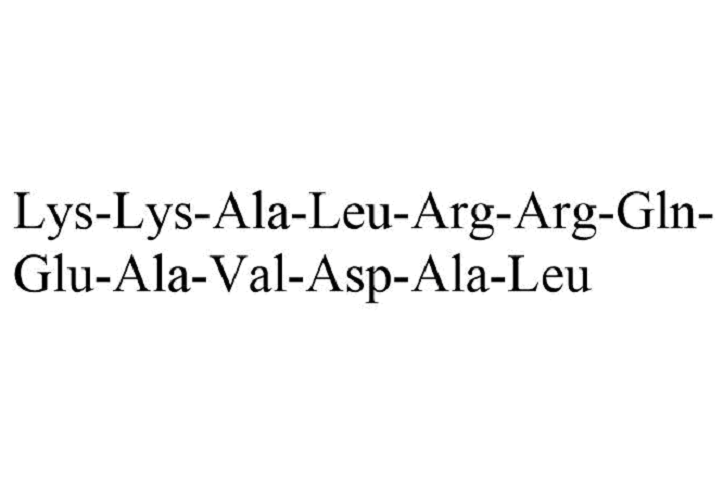 Autocamtide-2-related inhibitory peptide