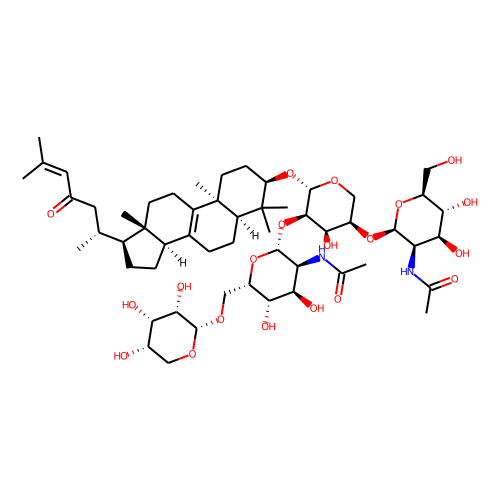 Sarasinoside C1