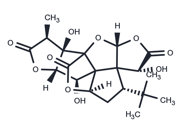 TargetMol Chemical Structure Ginkgolide B