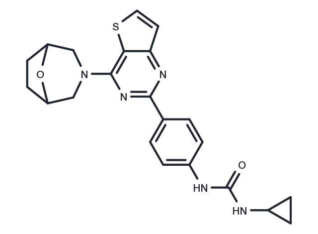 TargetMol Chemical Structure mTOR inhibitor 9e