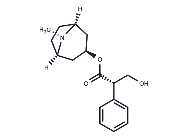 TargetMol Chemical Structure L-Hyoscyamine
