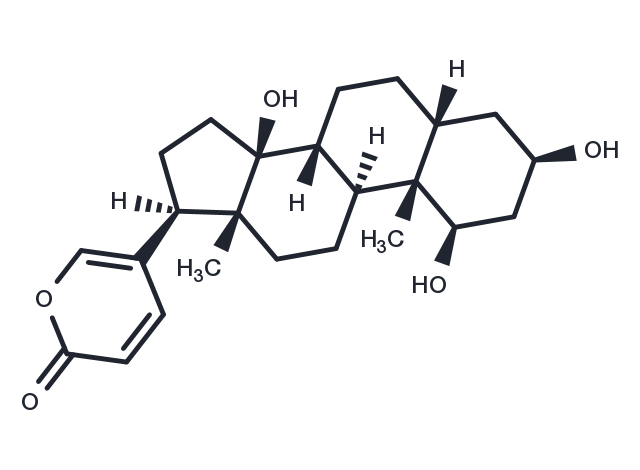 1beta-Hydroxybufalin Chemical Structure