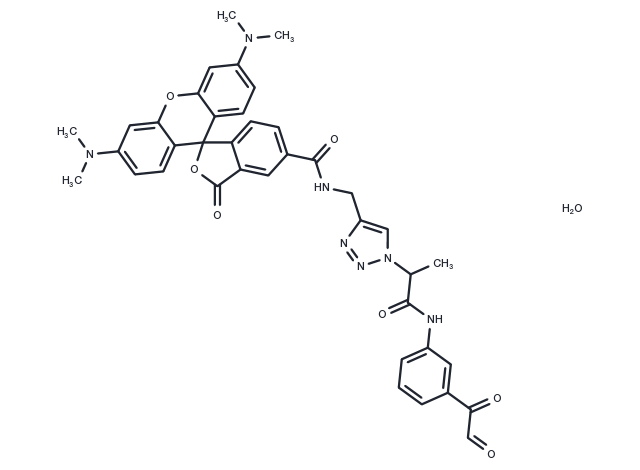 Citrulline-specific Probe-Rhodamine Chemical Structure