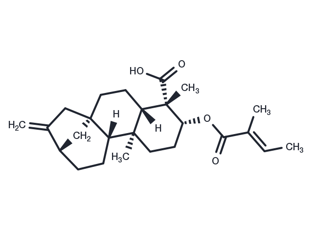 ent-3Beta-Tigloyloxykaur-16-en-19-oic acid Chemical Structure