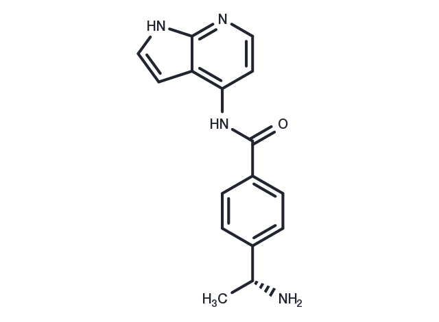 TargetMol Chemical Structure Y-33075