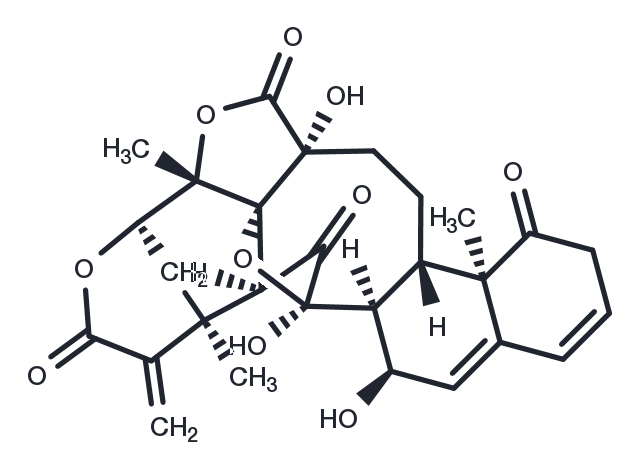 TargetMol Chemical Structure Isophysalin A