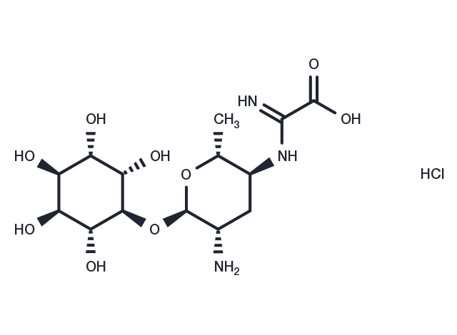 TargetMol Chemical Structure Kasugamycin hydrochloride