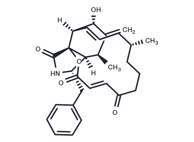 TargetMol Chemical Structure Cytochalasin A