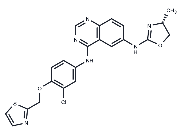 TargetMol Chemical Structure Varlitinib