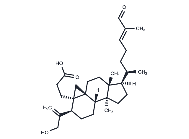 Coronalolic acid Chemical Structure