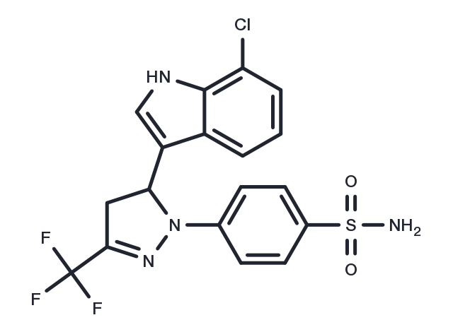 TargetMol Chemical Structure COX-2-IN-1