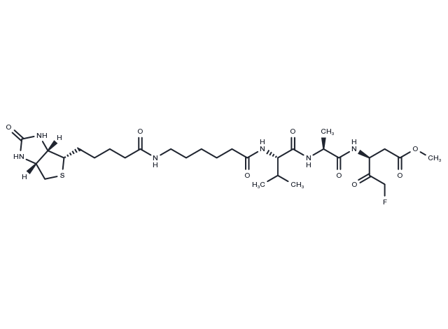 TargetMol Chemical Structure Biotin-VAD-FMK