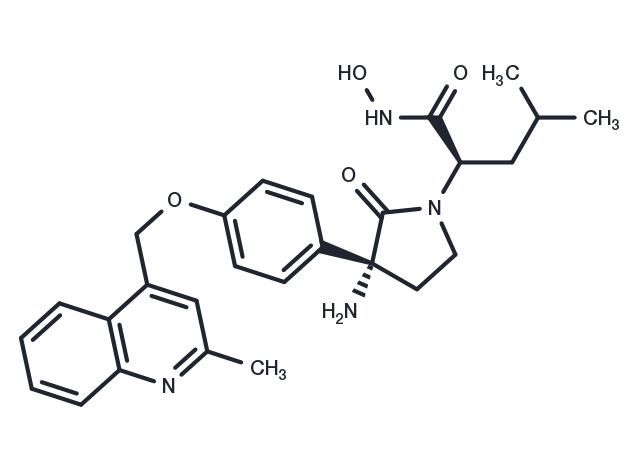 TargetMol Chemical Structure BMS-561392